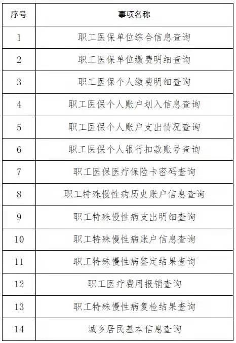 医疗保险查询网