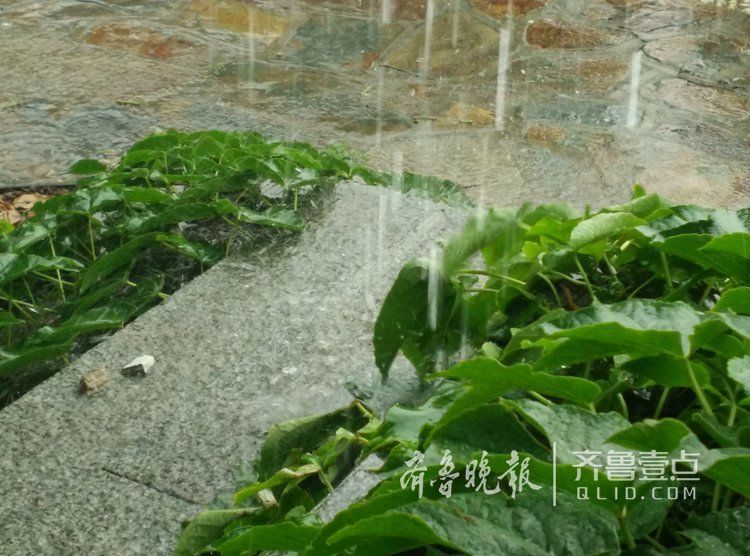 什么是倾盆大雨?今天的济南就是这样子