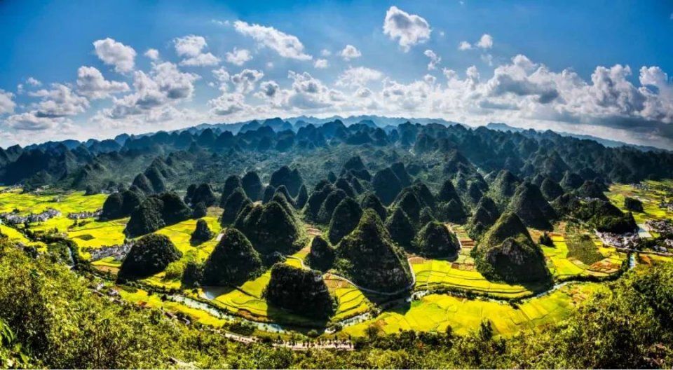 贵州这份简历震惊全国!