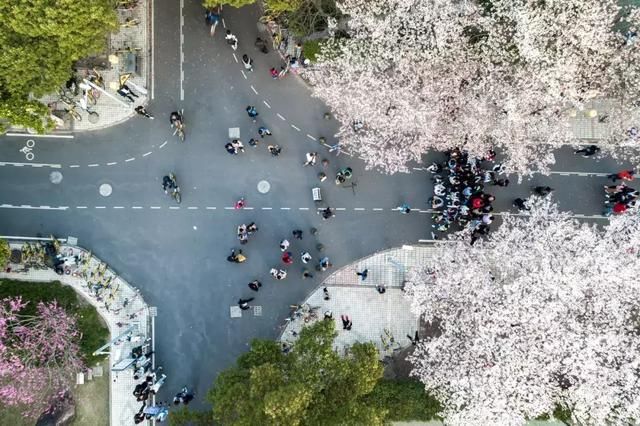 这些上海滩的惊天秘密，99%的上海人却都不知道！