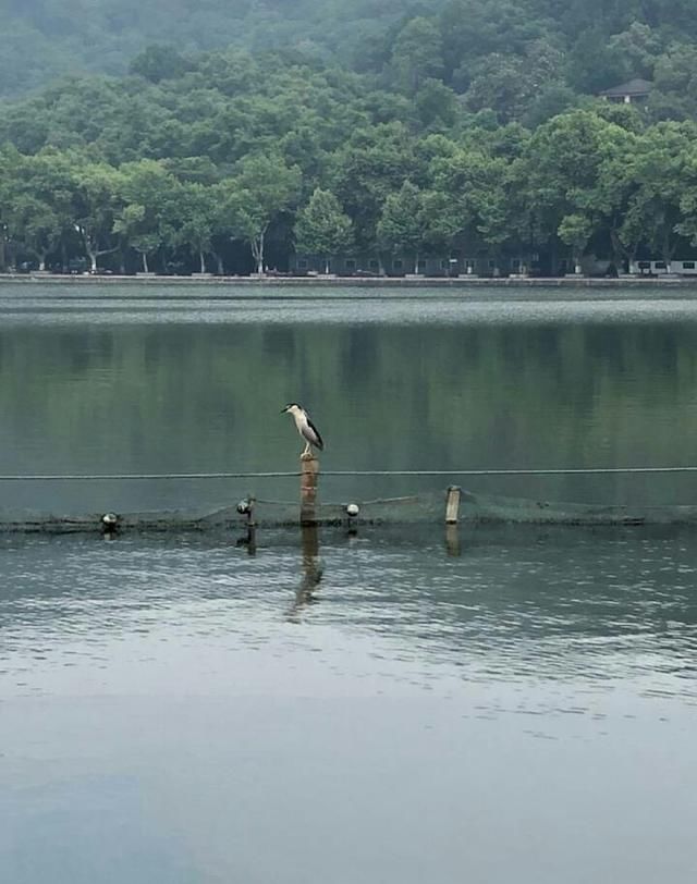 比成都更悠闲！比苏州更恬静！这个低调安静的烟雨小城让人神往！