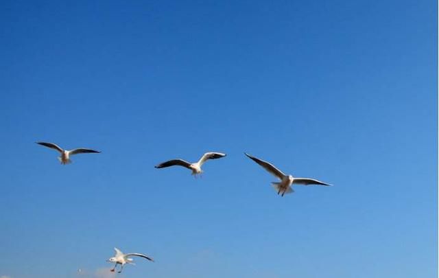 煤炭银行走高,海航系个股大跌,通达信黄金周K