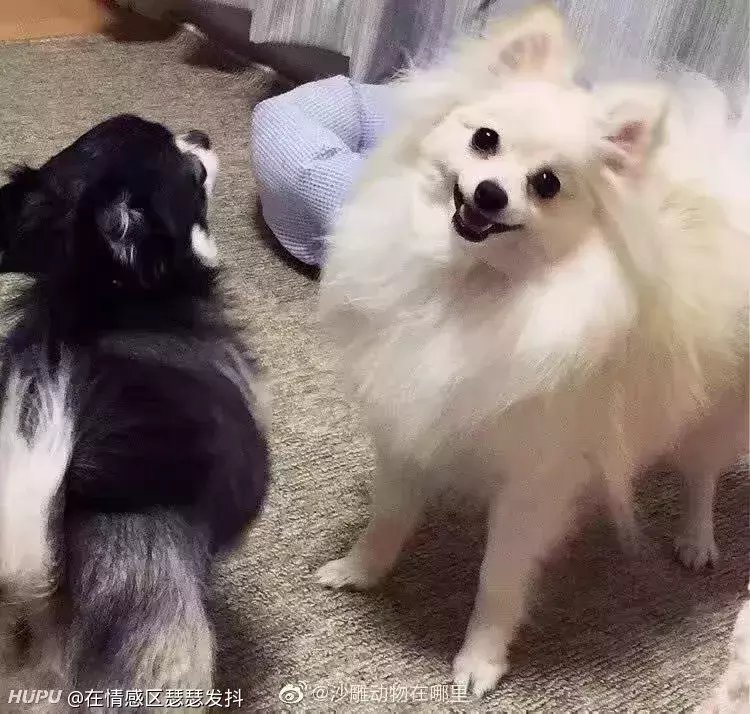 看复联4想要看懂所有梗需要复习哪些漫威电影