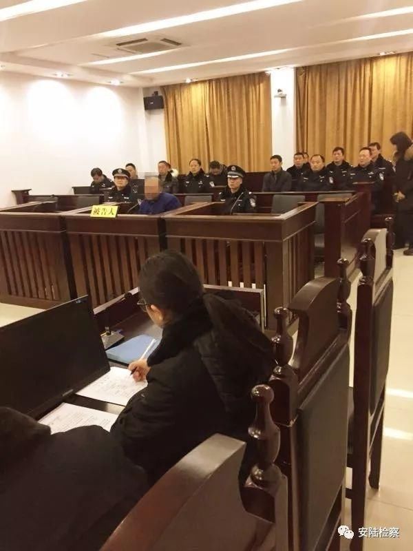 2018\/1\/31这次庭审很特别,20余名公安干警应邀
