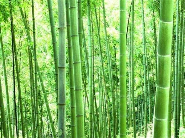 大运到了!3大生肖下周开始走大运,财运强,一路发财不断!