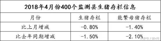 猪价连涨3天 这波涨价能否延续？