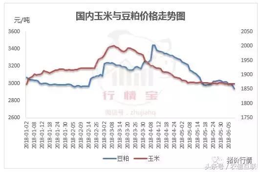 玉米价格跌至年内低点！分析师：供应缺口较大，秋收玉米涨价！