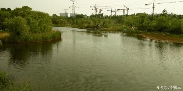 潍坊高新浞河景区,歌尔绿城?随走随拍!