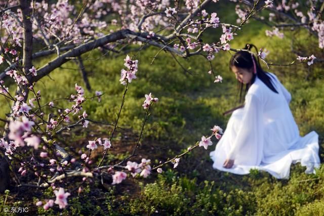 独角兽第一股39跌至5元，拟10转30重组成功，6月有望超亚夏汽车