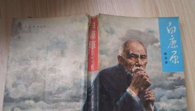 获茅盾奖的小说