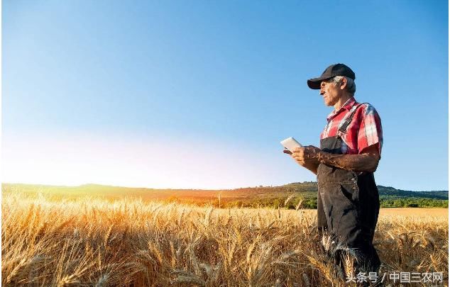 为啥南方农民比北方农民有钱呢？