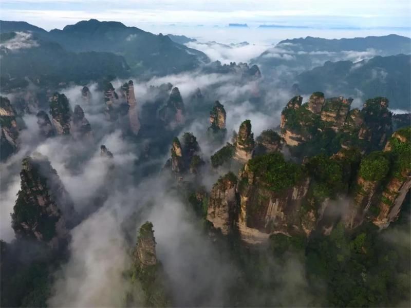 暑假张家界门票对2018年高考生免费 本地导游