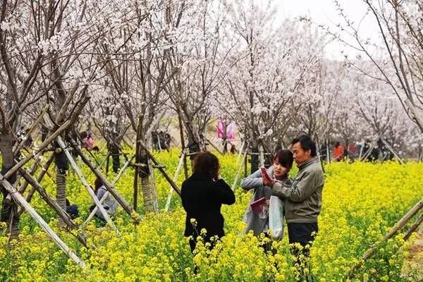 清明节小长假不知道去哪玩?郑州周边1-3日游线