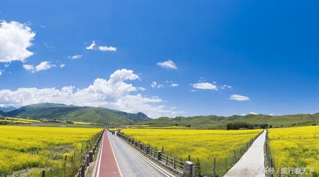 3月油菜花开，这9个地方有全中国最美的花海，你最想去哪个