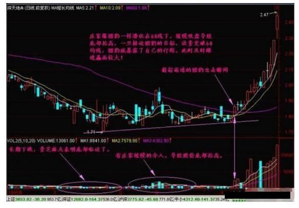 股市皇者教你“猎豹出击”战法，无需担心为庄家送肉了