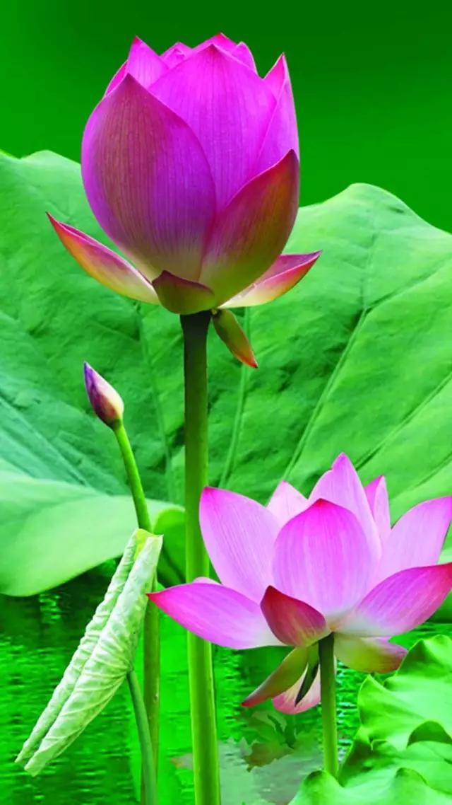 福彩3D324期开奖预测 上期又中了 恭喜中奖的