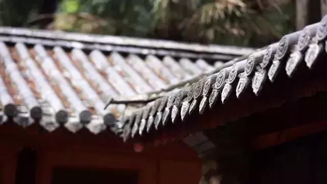 中国最美的尼姑庵，不烧香只种花，韩红也慕名而来！