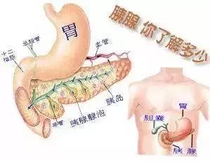 春节大吃大喝，男子血浆变“油浆”!还有人病危!