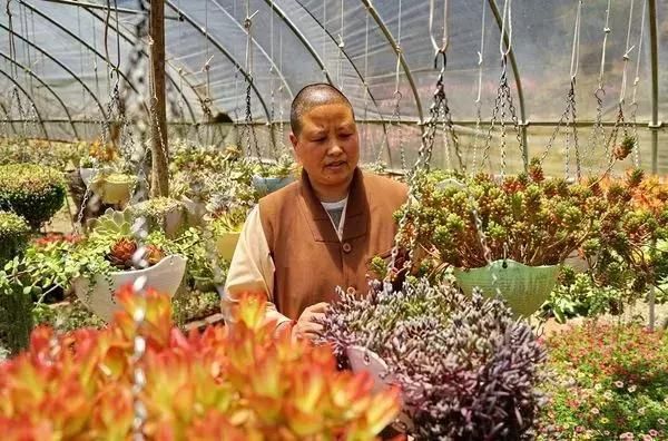 中国最美的尼姑庵，不烧香只种花，韩红也慕名而来！