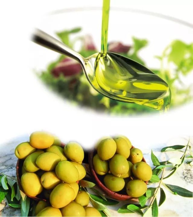 安利特级初榨橄榄油即将上市,我们可以吃上自