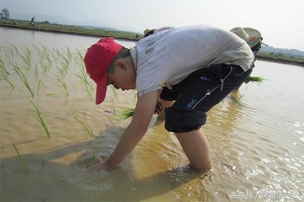 气象台发暴雨预警，大部分地区迎来强降水，农作物的大灾难！