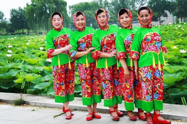 淄博文昌湖有个上坡地,上坡地有个荷花园