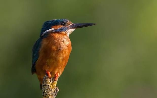 周公解梦,梦见结婚,寓意何在? 周公解梦,梦见结婚,寓意何在?