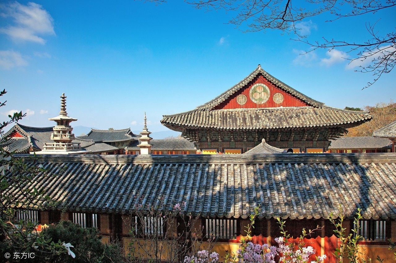 中国游客在这里被瞧不起,还要去旅游!网友:有点自尊好吗?