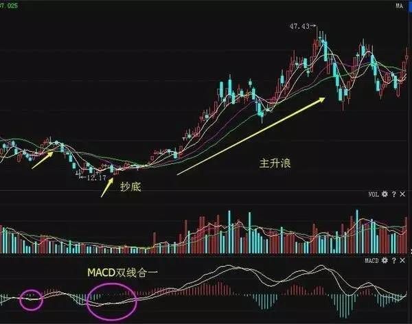 不会抄底？老股民传授多年的抄底经验，再忙也要看看