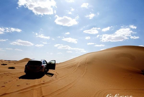 荒漠也不是荒漠了