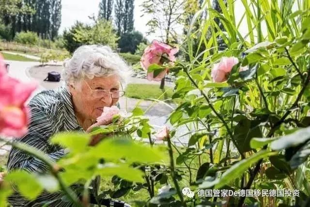 德国人的养老方式，简直太逆天!