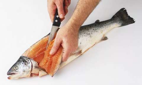 生吃三文鱼的危害你知道么?寄生虫害死人