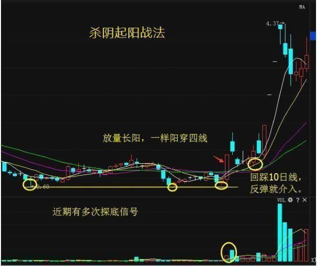 中国股市“动真格”了，大量散户相继散场，A股启动最强救市锦囊