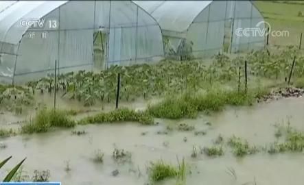 南方暴雨持续，多省农田被淹，农作物损失惨重！北方迎来大雨！