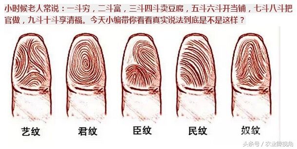 农村常说:一斗穷，二斗富，三斗四斗卖豆腐，什么意思?