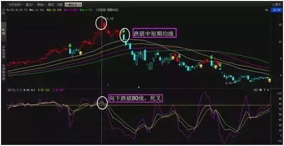 t0163bb8661da7b16a5.jpg