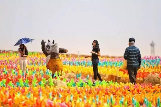 大美宁夏，火热盛夏来临，一起走进大自然~