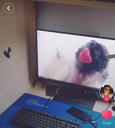 抖音电脑桌面小狗舔屏动态壁纸是用什么软件设