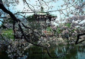 日本东京最受人们喜爱的旅游景点有哪些