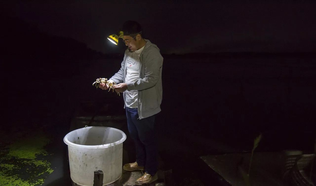 支付战争下半场!微信挑战支付宝后继乏力;监管