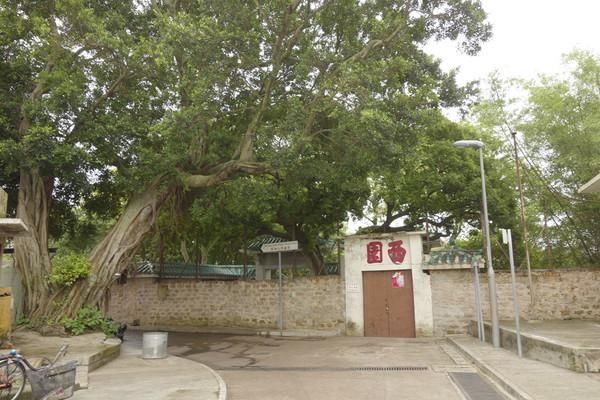 香港人口最稠密的岛屿长洲