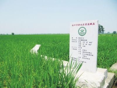 广西推动农业高质量发展 大力推进绿色兴农、