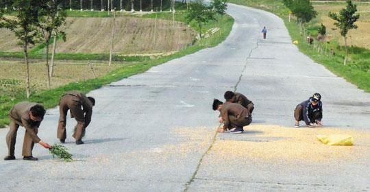 看看人家朝鲜的高速公路，有4个特点