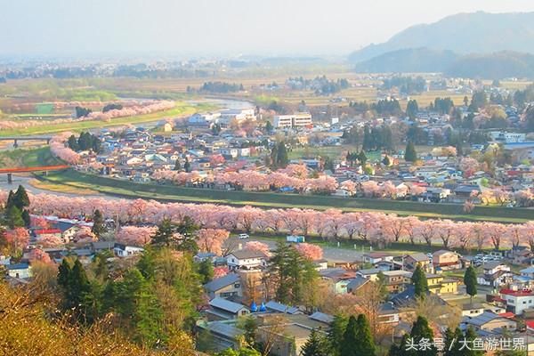 活用JR PASS，省钱游遍日本秋田青森樱花百选之地