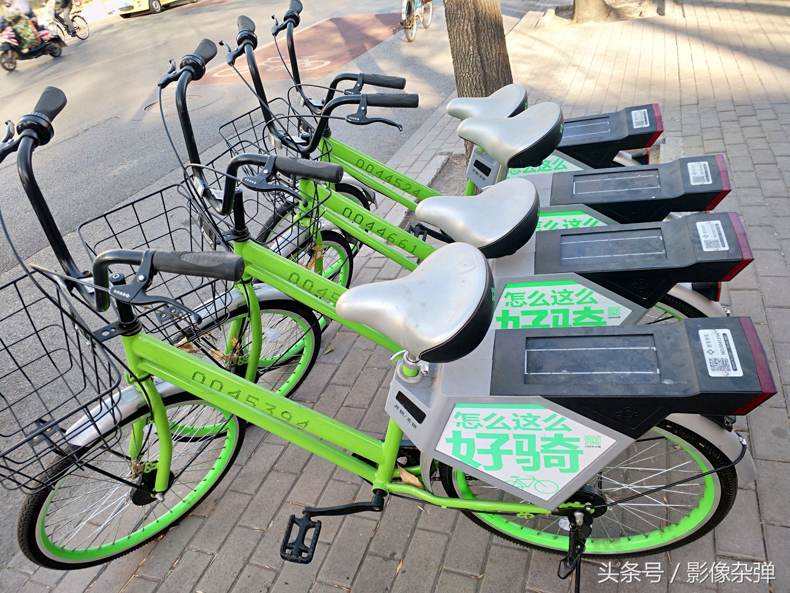 实拍:这款共享单车居然 没有锁 ,外形 特别 采用