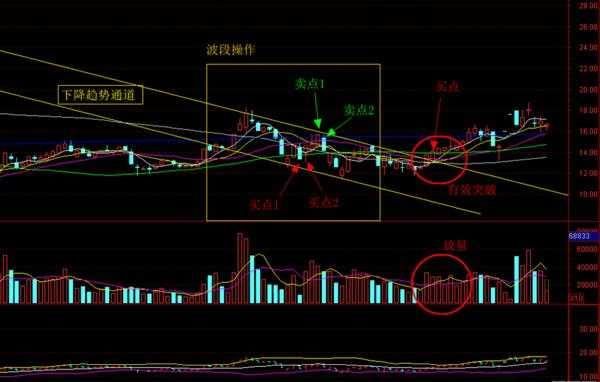 中国股市最牛的人：教你最笨的方法，学会的人都赚了