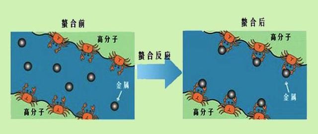 禁食、特效药、针灸、排毒、干细胞… 治愈 自