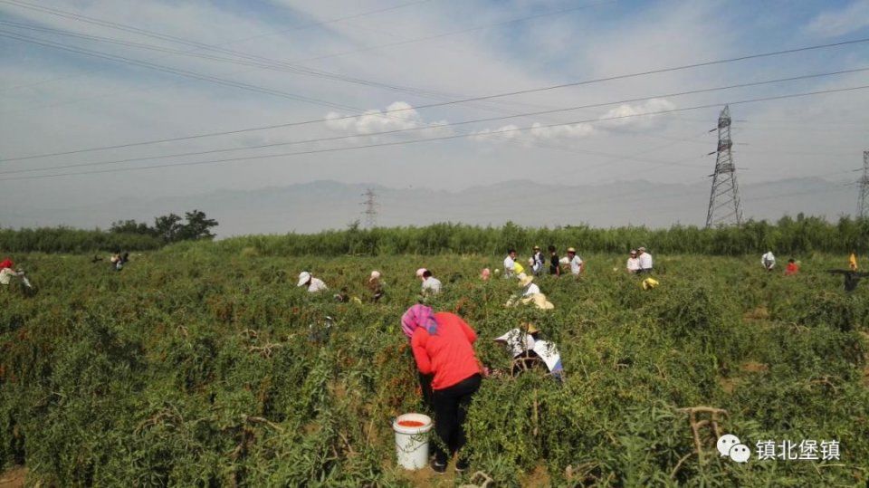 重磅!宁夏这4个村被国家正式点名!将成为最幸福的地方!快看看是你