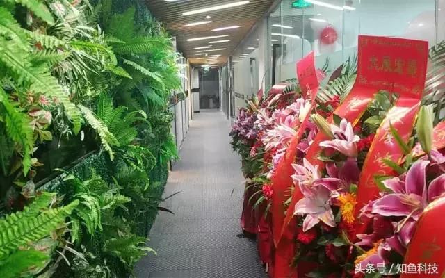 不忘初心,继续前进丨知鱼科技深圳总部乔迁志