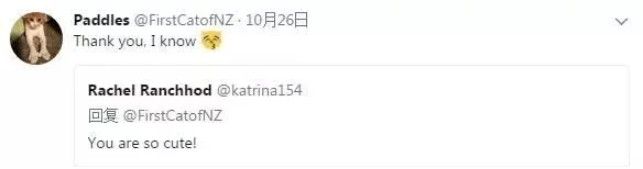 (文摘)从流浪猫到新西兰“第一猫” 这只橘猫用短短一生照亮了世界 - aihua191 - aihua191的 博 客 (文摘)从流浪猫到新西兰“第一猫” 这只橘猫用短短一生照亮了世界 - aihua191 - aihua191的 博 客